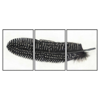 Black Feather With White Spots Over 3 Black Glass Frames Modern Wall Art