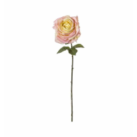Stem Ivory Pink (3pk)