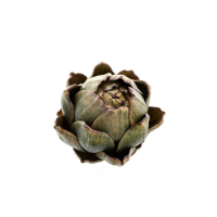 Real Touch Artificial Artichoke