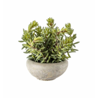 Green With Cement Bowl Small