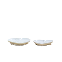 Dish Set of 2