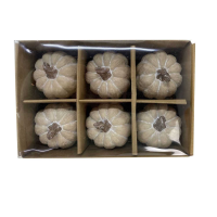 Set Of Six Carved Wood Effect Pumpkins