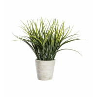 Grass With Cement Pot