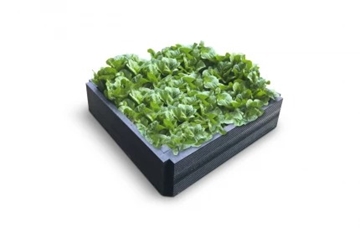 Recycled Plastic Raised Bed