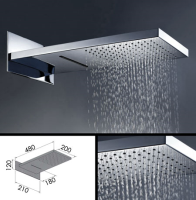 Arc Brushed Stainless Shower Head &#40;80T&#41;; Choice: Not required