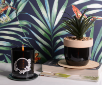 High Burn Time Ele Scented Candle in Neroli Vetiver For Your Home
