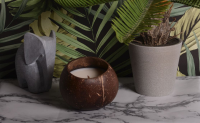 Stunning Allene Coconut Shell Candle Hawaiian Breeze For Parties In Yorkshire