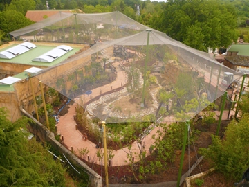 Jungle Enclosures For Zoo
