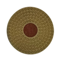 Boride Edge Excel Polishing Pads Distributors