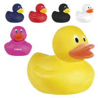 BP36 Plastic Duck