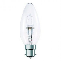 240V 42W BC Halogen Bulb