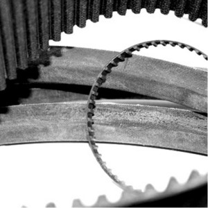 Trade Supplier of Timing Belts
