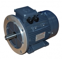 Highly Efficient Electric Motors