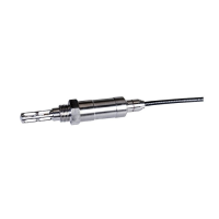 HC2A-IE02-XX Screw-In Probe - Stainless Steel Probe for pressurized conduits and vessels