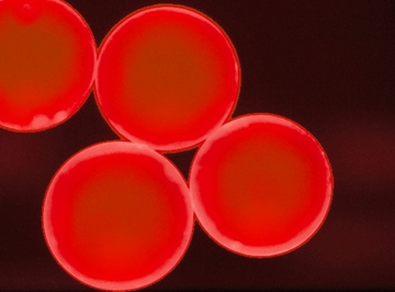 Red Fluorescent Polystyrene Particles In Aqueous Suspension
