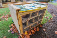 Suppliers Of Bug Hotel For Nurseries And EYFS