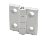 Highly Durable Hinges for Thin Frame
