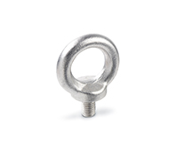 High Quality Lifting Eyebolts For The Building Industry