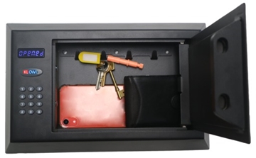 Electronic Personal Safe