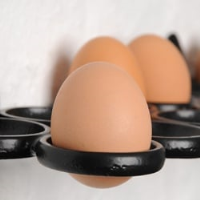 Wall Mounted Egg Rack