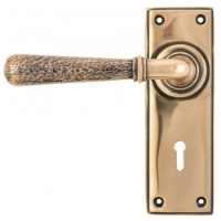 Hammered Newbury Lever - Polished Bronze