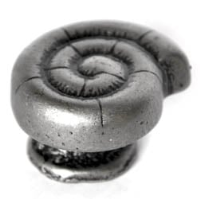 Ammonoid Cabinet Knob