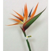 Artificial Bird of Paradise Flowers - 82cm, Green/Flame