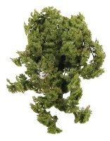 Artificial Moss  - 30×10cm bag (appro× 85g), Green