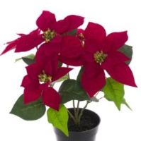 Artificial Christmas Silk Poinsettia in a Plastic Pot - 43cm, Red