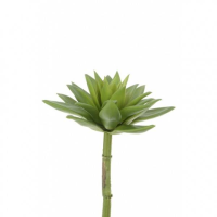 Artificial Succulent Spiky Pick - 23cm, Green