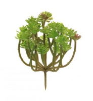 Artificial Clavatum Succulent Head Only - 11cm, Natural Green
