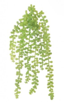 Artificial Trailing String Of Pearls - 30cm, Green