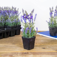 Artificial Lavender Plant - 27cm, Purple
