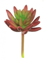 Artificial Agave Succulent Small - 6.5cm, Burgundy