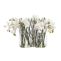 Artificial Silk Phalaenopsis in Glass Vase - 44cm, White