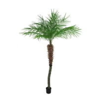 Artificial Pheonix Potted Palm Tree - 240cm, Green