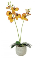 Artificial 2 Stem Phalaenopsis Orchid Arrangement - 52cm, Blazed Yellow