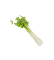 Artificial Celery Natural Touch - 39cm, Green/White