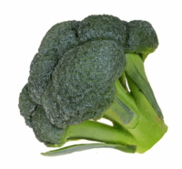 Artificial Broccoli - 17cm, Green