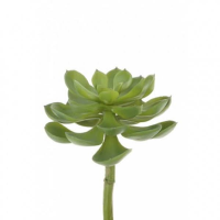 Artificial Succulent Desert Pick - 23cm, Dark Green