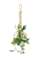 Artificial Mistletoe Kiss Bundle - 40cm, Green