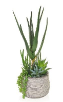 Artificial Mixed Aloe in Pot - 42cm, Green