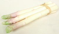 Artificial Asparagus Bundle - 22cm, White