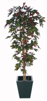 Artificial Capensia Deluxe Liana Tree IFR - 120cm, Green & Burgundy