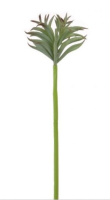 Artificial Chalk Finger Succulent  - 59cm, Natural Green