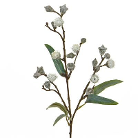 Artificial Eucalyptus with Pods - 62cm, Green & White