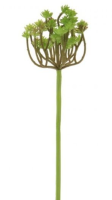 Artificial Clavatum Succulent  - 60cm, Natural Green