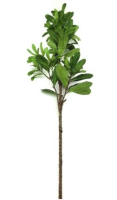 Artificial Lush Camellia Leaf Spray - 106cm, Green