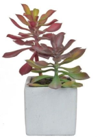 Artificial Succulent in White Cement Pot - Green Plant 20cm