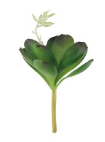 Artificial Desert Rose Succulent  - 15cm, Green